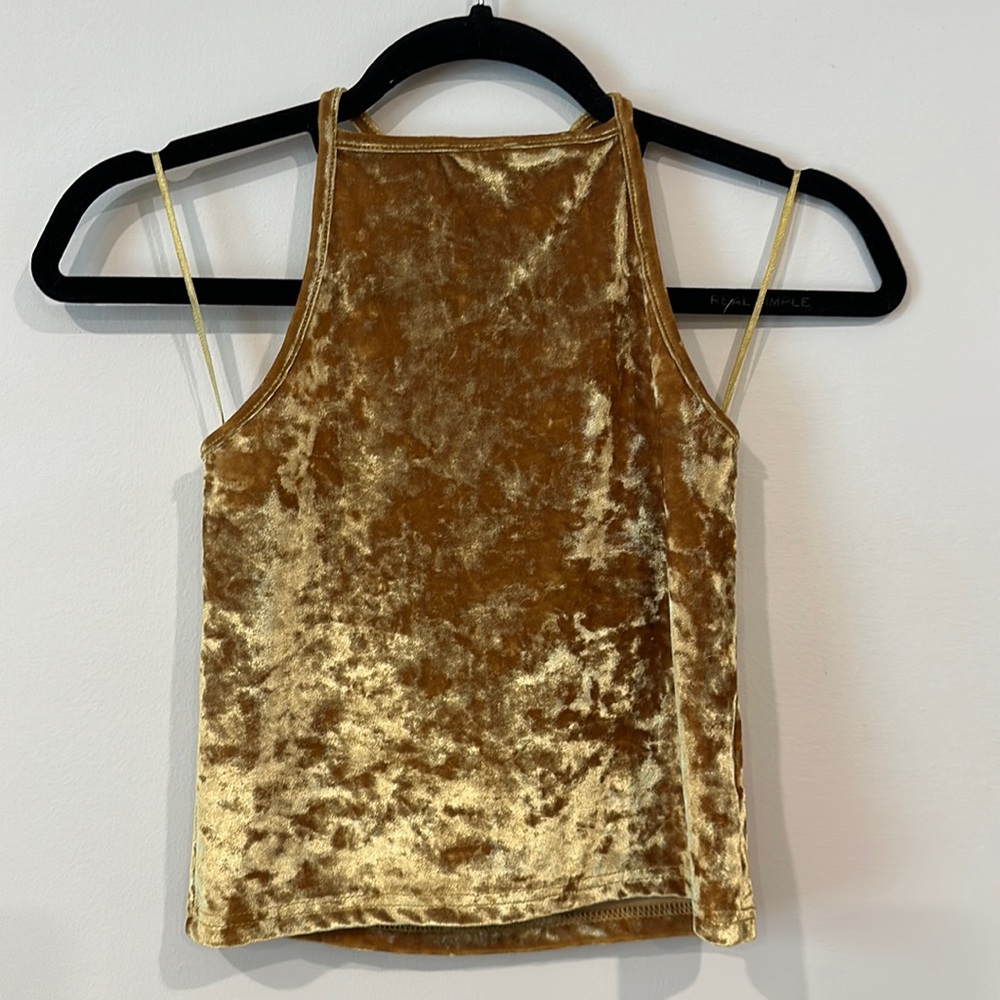 Gold, velvet top